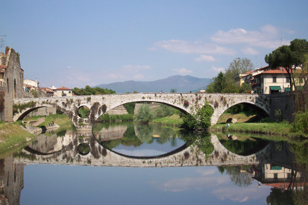 Uploaded Image