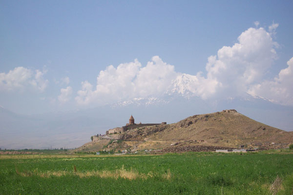 Uploaded Image