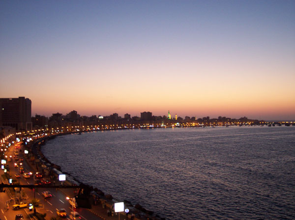 Uploaded Image