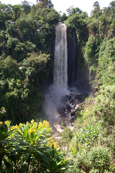 Uploaded Image
