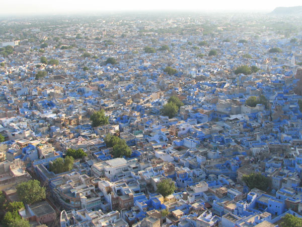 Uploaded Image
