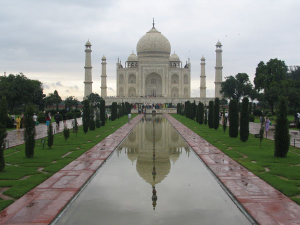 Uploaded Image